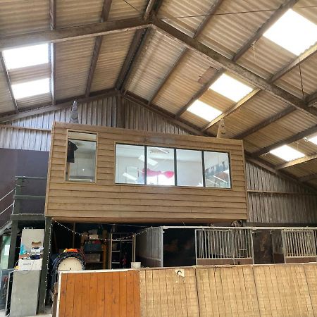 לינה וארוחת בוקר Garnwerd The Horse Farm מראה חיצוני תמונה