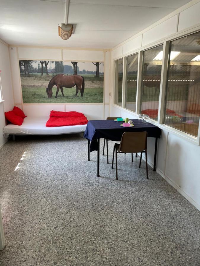 לינה וארוחת בוקר Garnwerd The Horse Farm מראה חיצוני תמונה